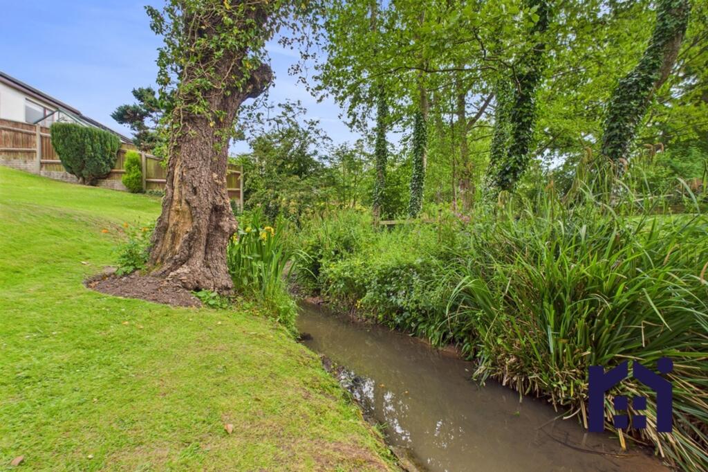 The stream