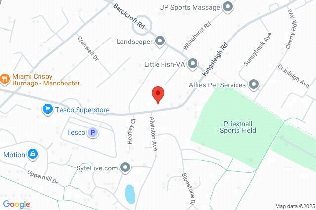 Google Maps Image