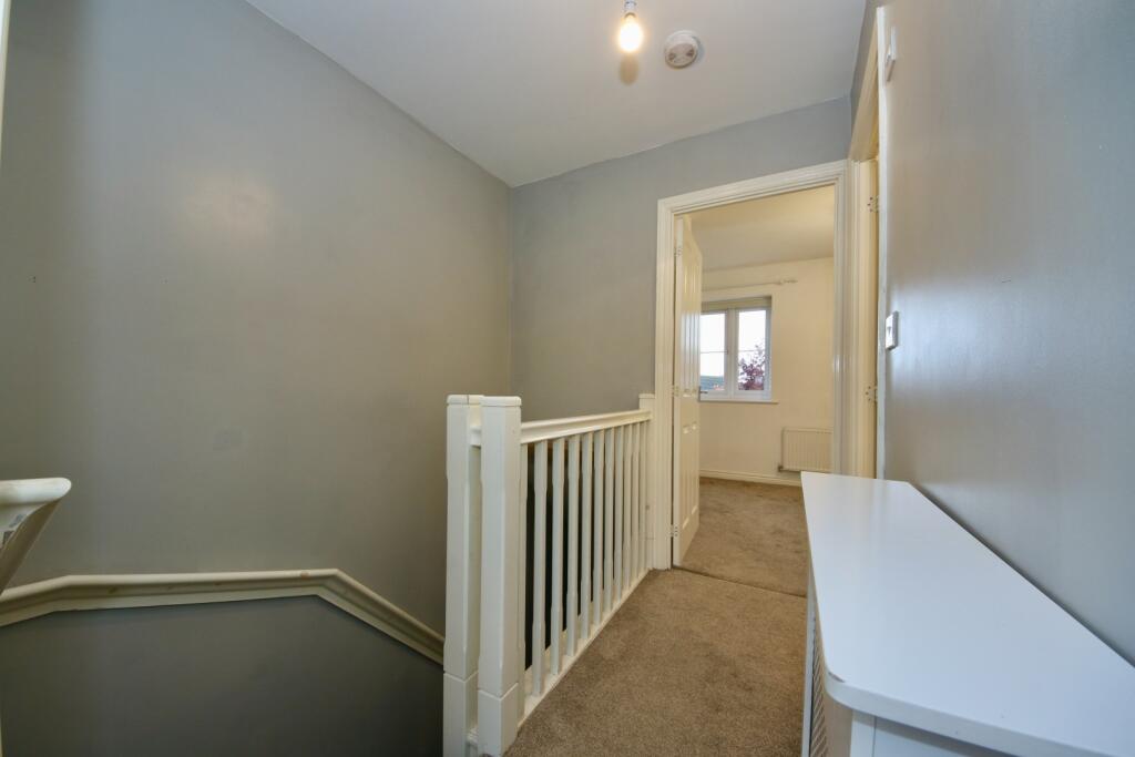 IMAGE 7