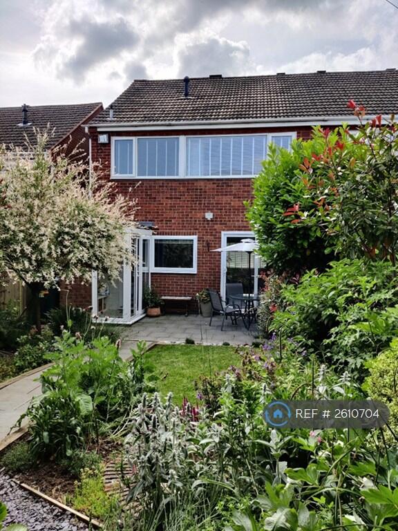 Back Garden