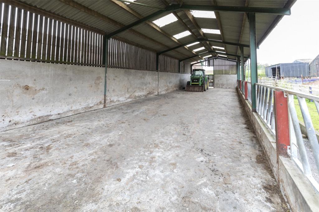 Shed