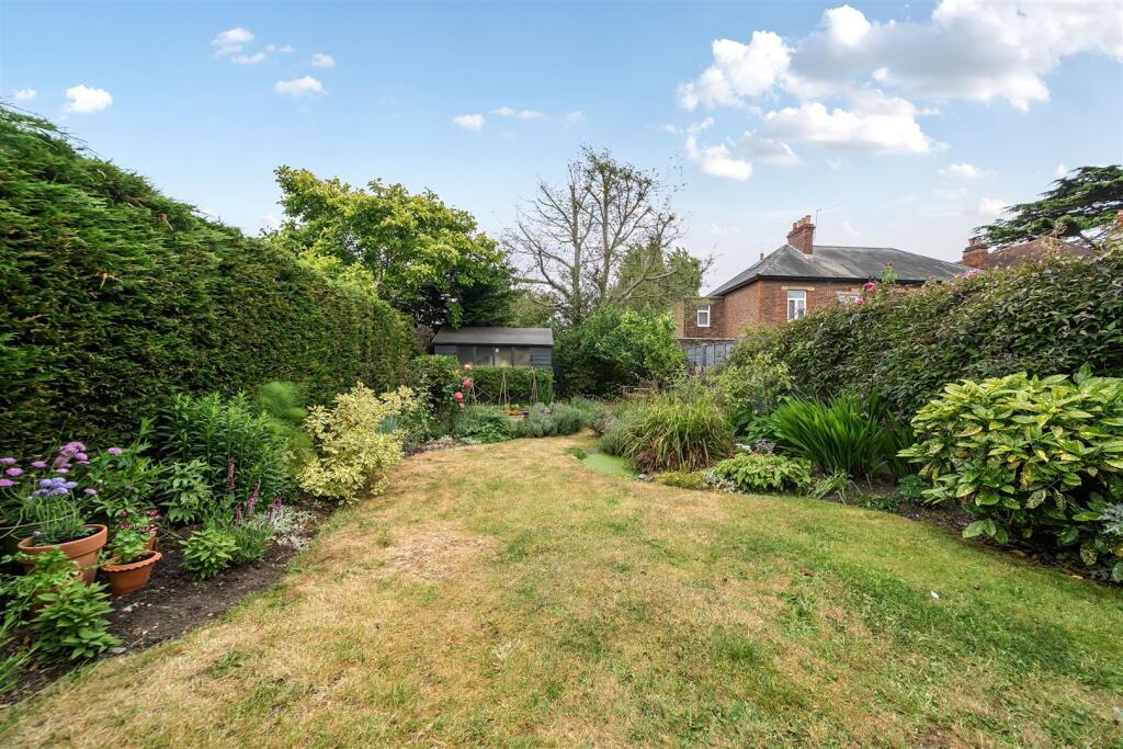 Garden