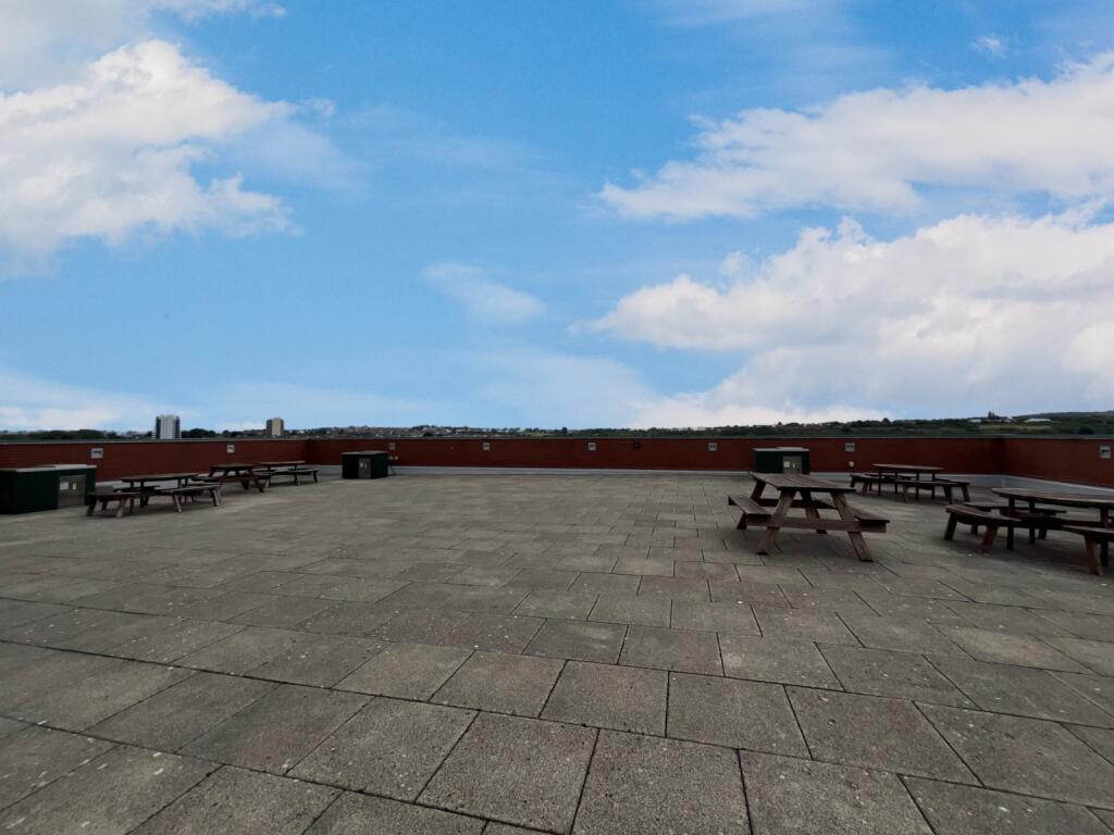 Bbq Area