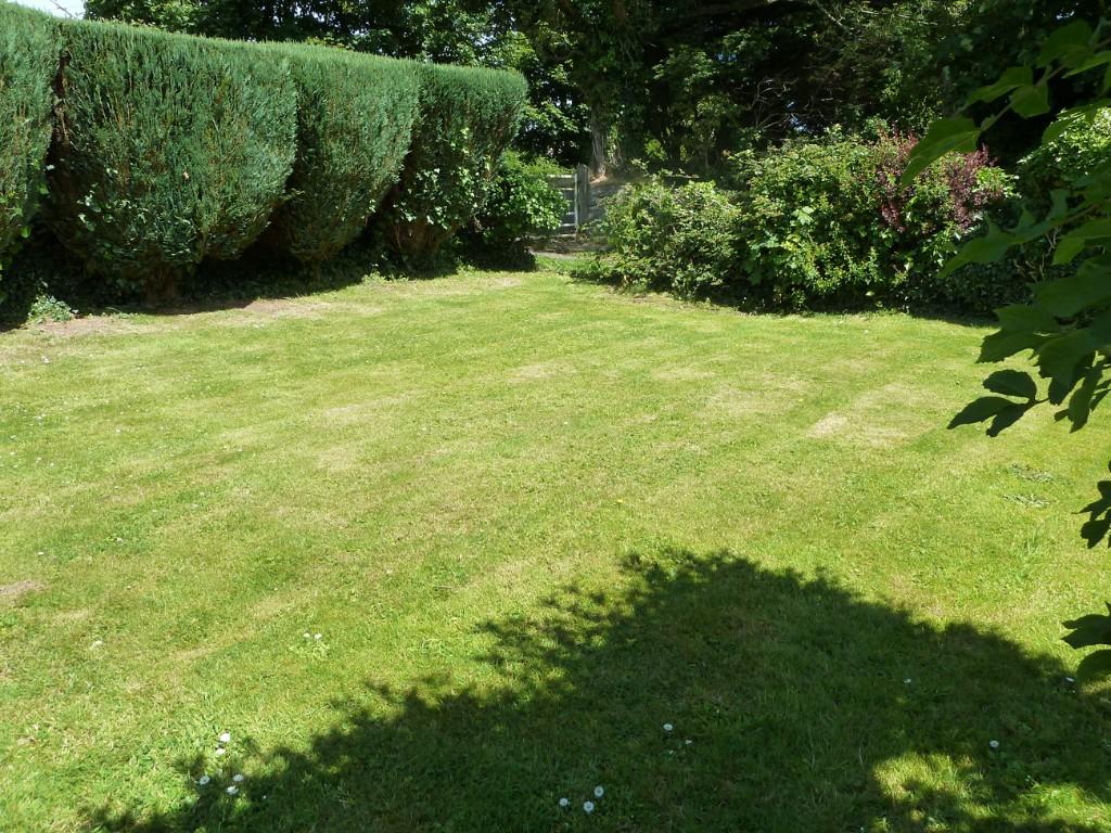 Front garden