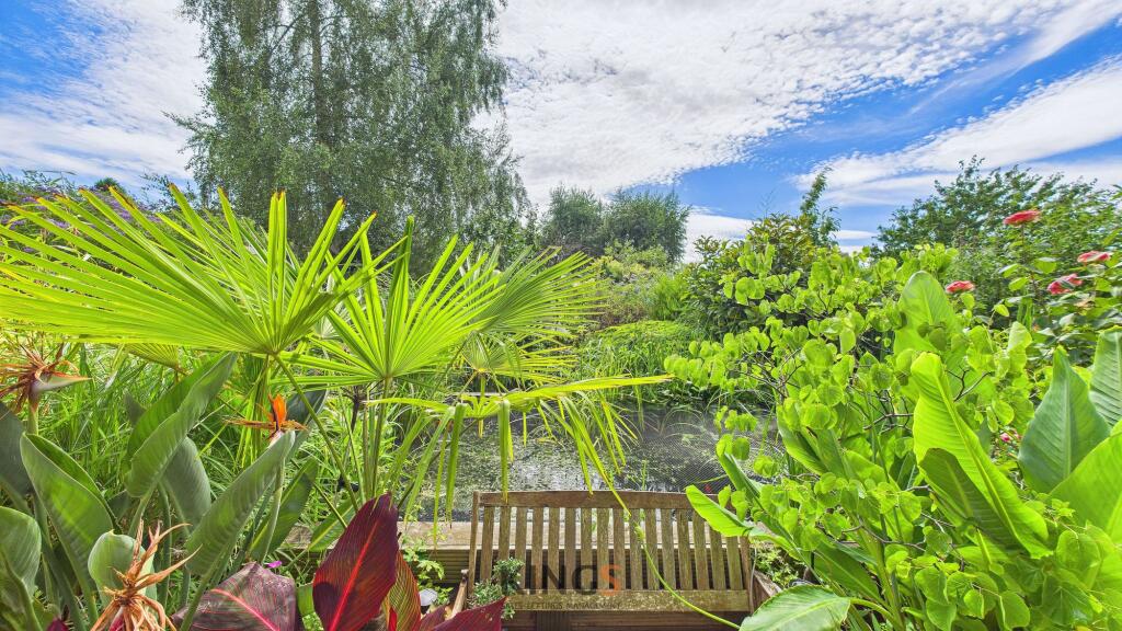 Pond