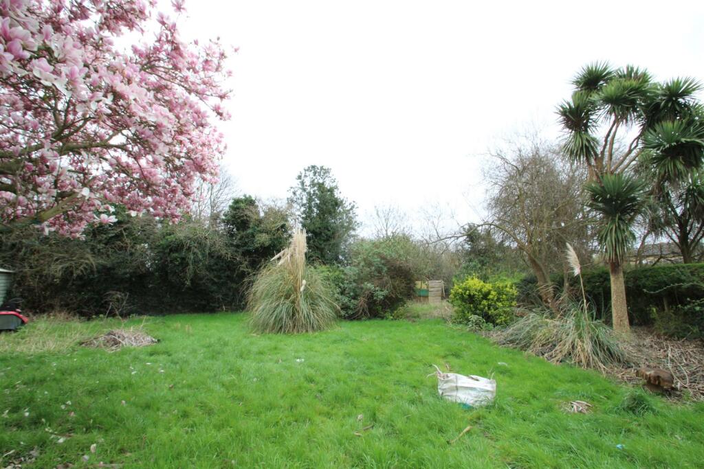 garden 4.JPG