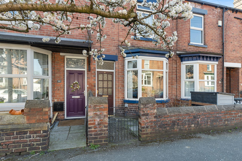 39  Cruise Rd, Sheffield 02_297.png