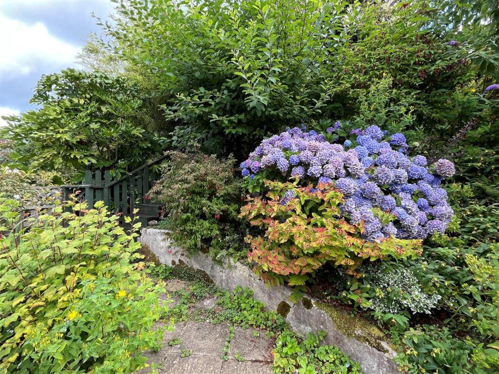 Garden 4.jpg