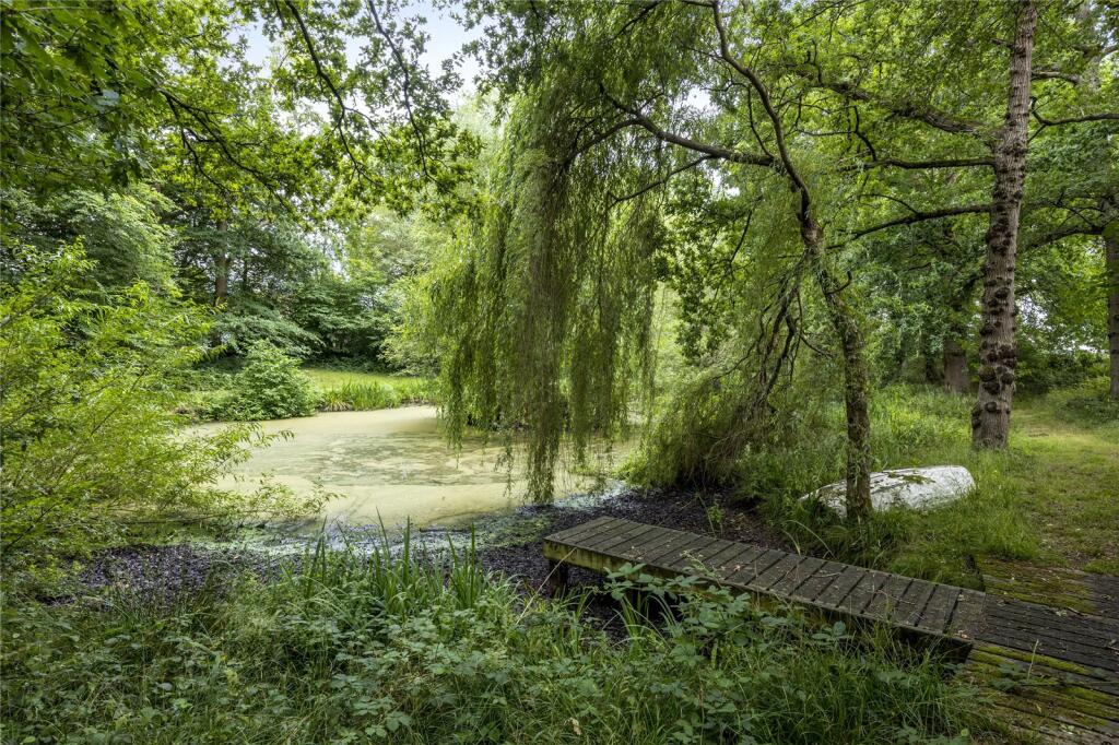 Tree-Lined Pond