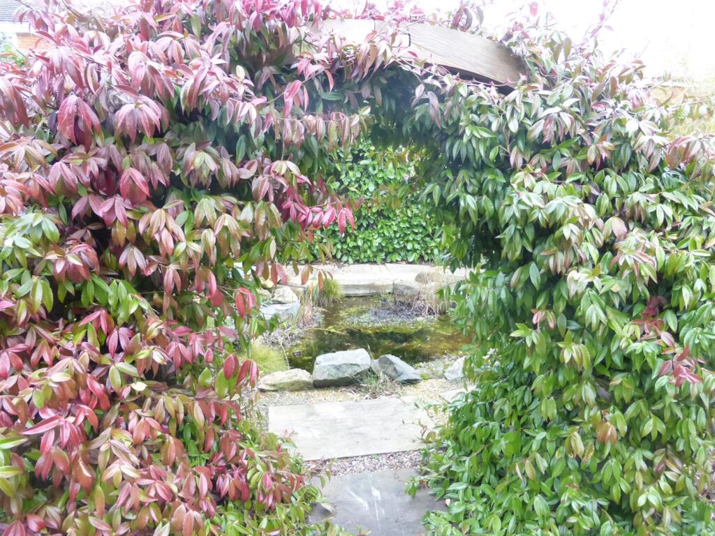 Garden Arch