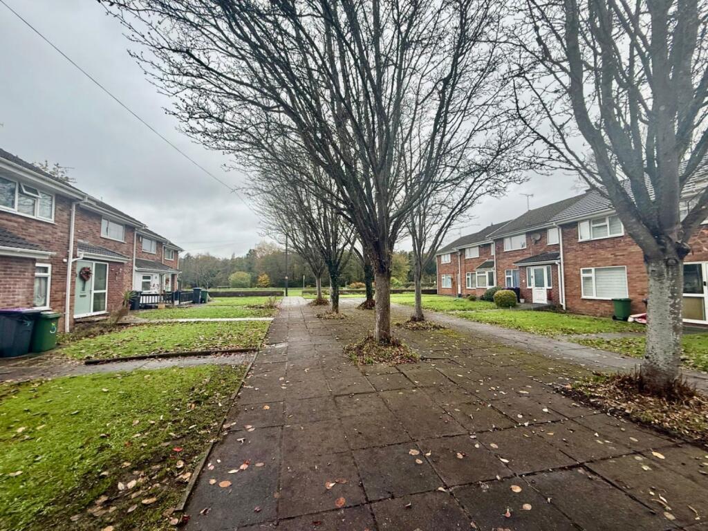 PHOTO-2025-11-08-20-58-34 10