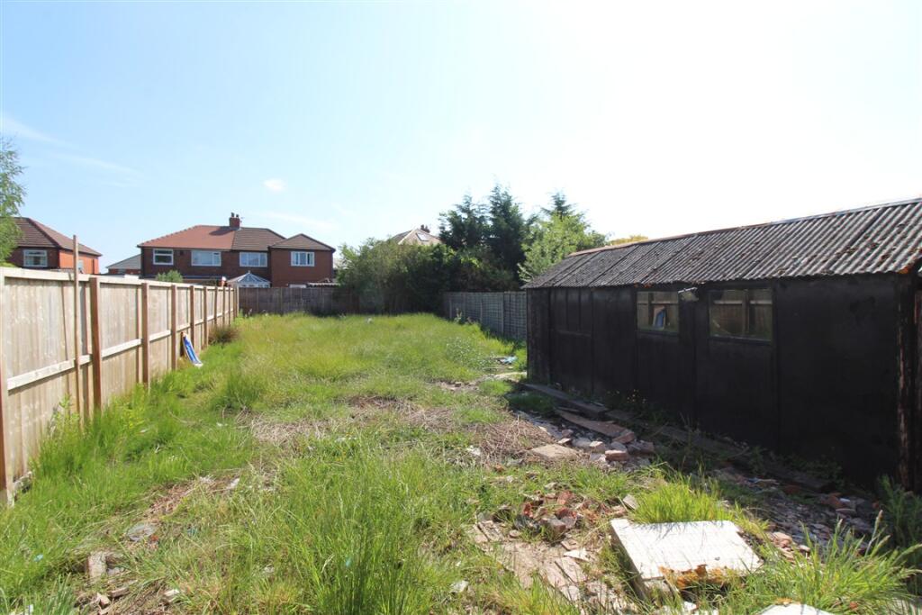 IMG 5304  Medium  T202505231115.jpg