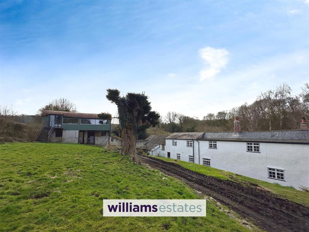 Rear of the Property