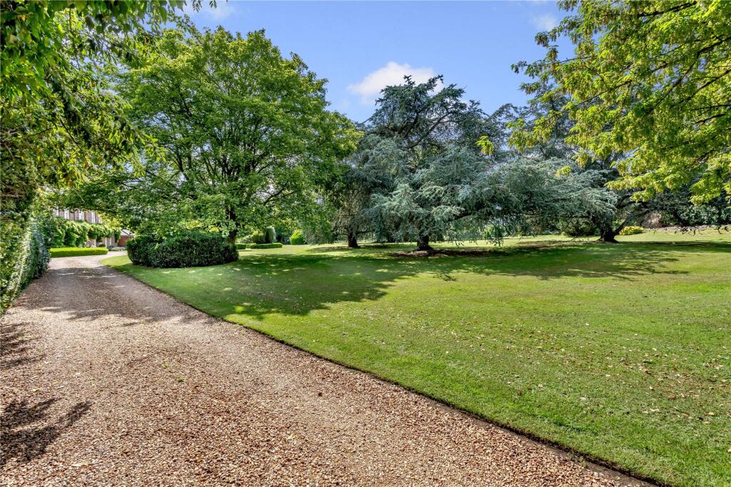 Driveway Approach