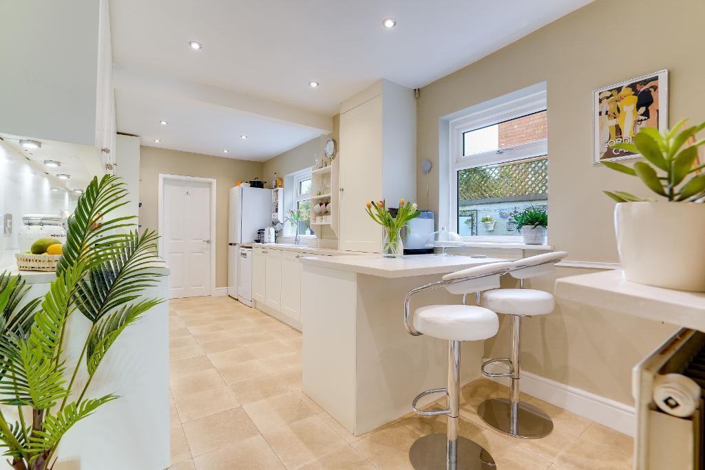 White modern kitchen