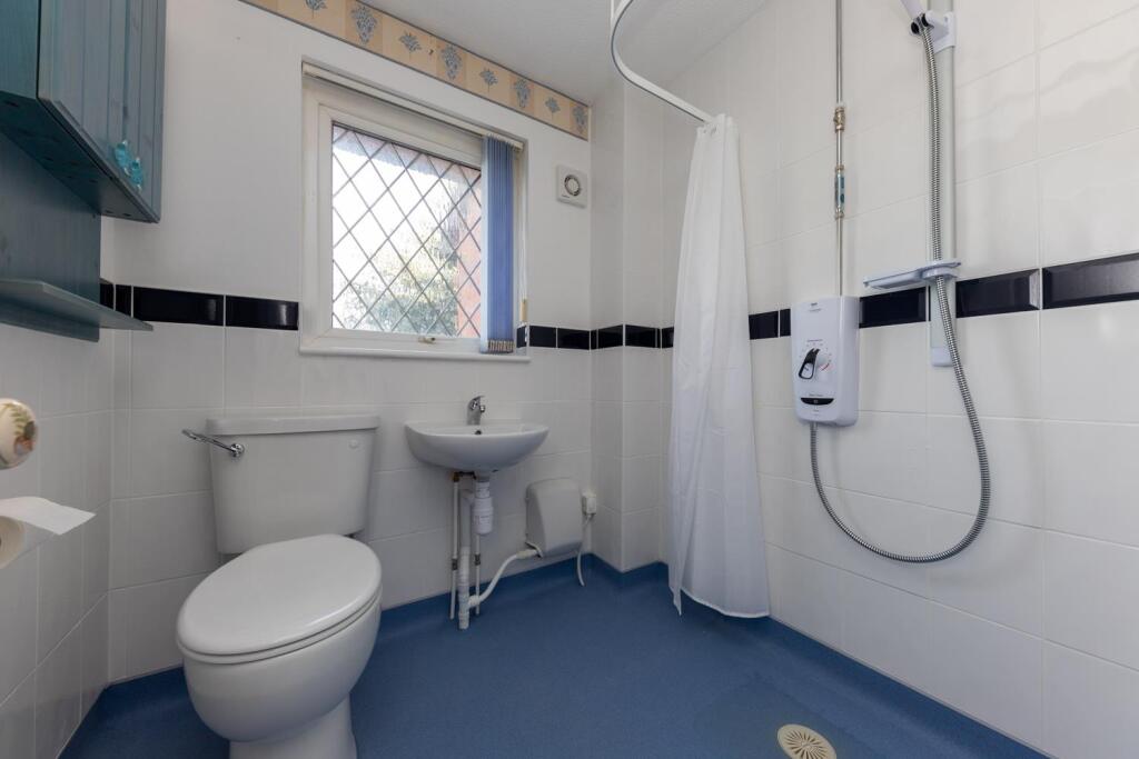 30 Sanderling (4 of 15).jpg