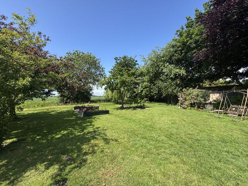 Garden view 2