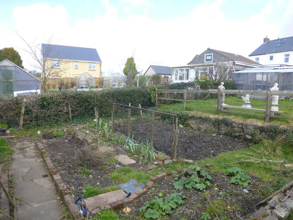 Vegetable Garden