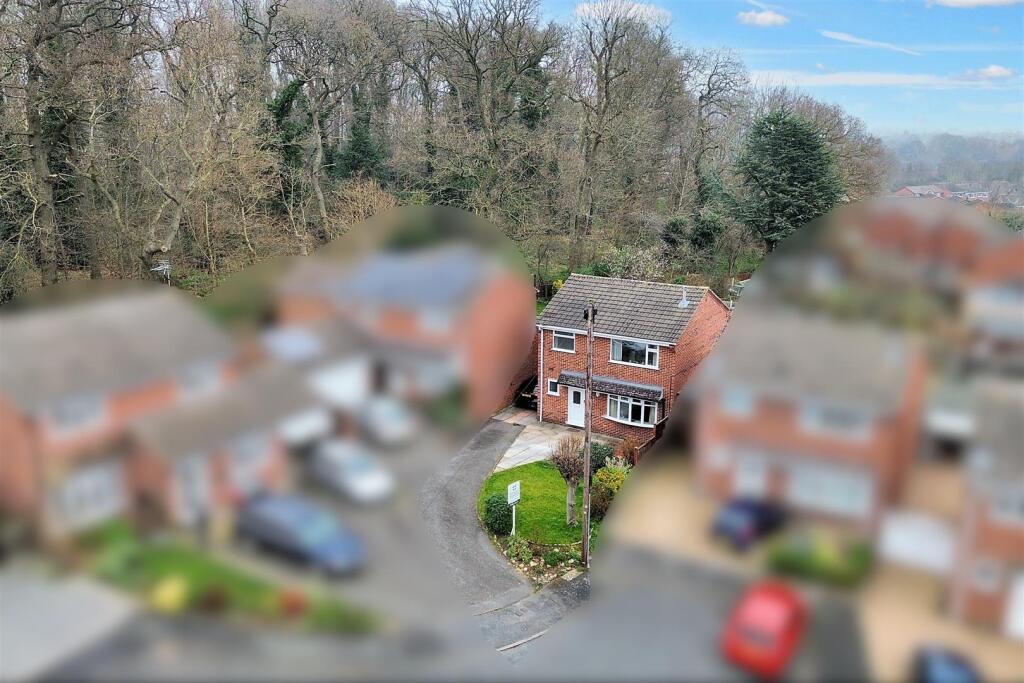 front drone.JPG