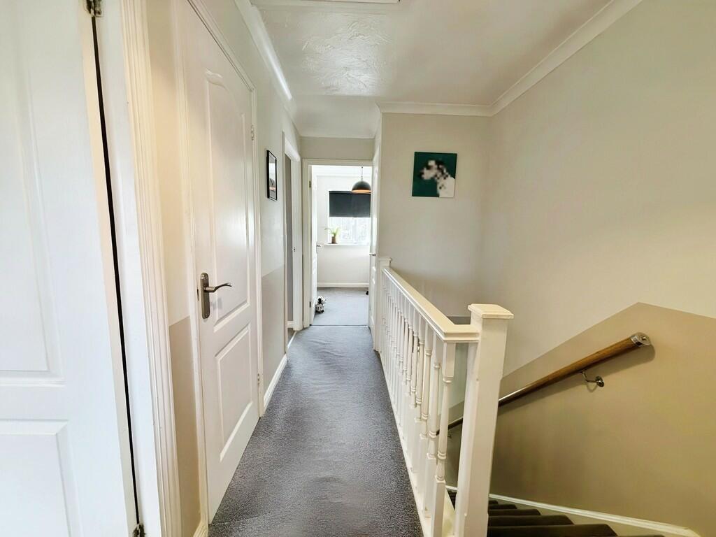 editedimage-cbbe5...