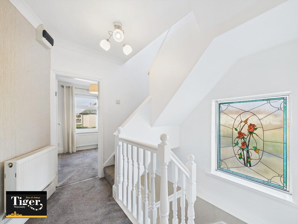 CAM02176G0-PR0509...