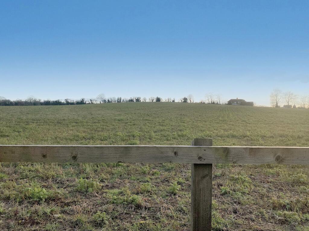 Field Views