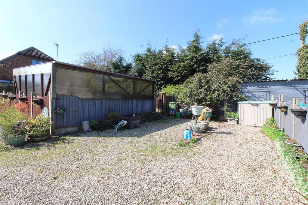 garden 1.9.JPG