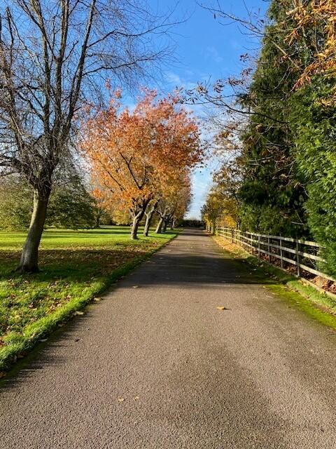 Driveway 2