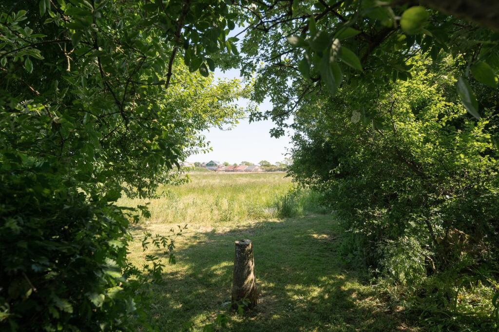 View from Garden