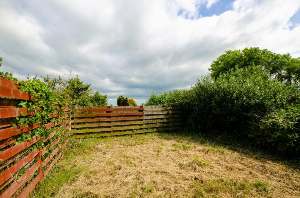 DSC_1304