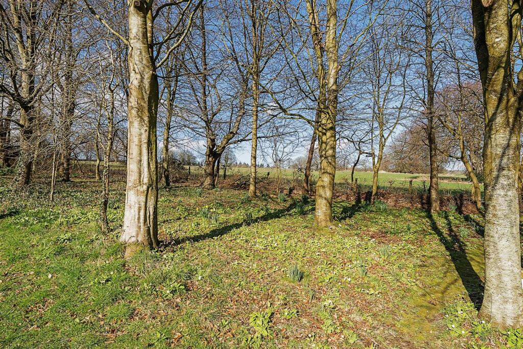 Copse