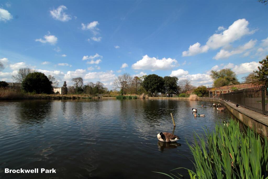 Eden Harper Brixton Brockwell Park Pond.jpg
