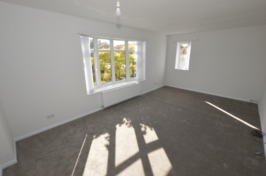 DSC 0010 T202510131056.jpg