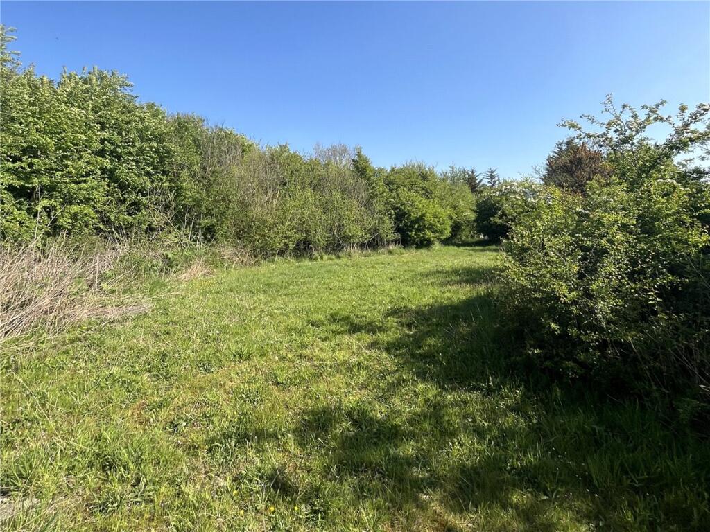 Bare Grassland