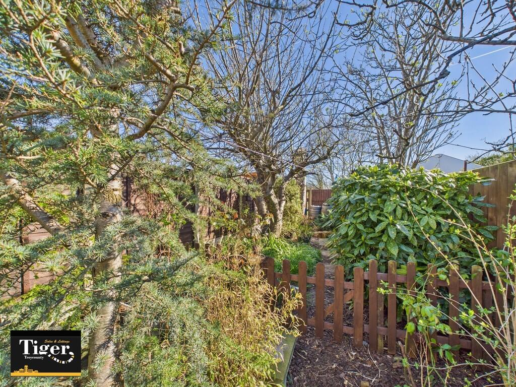 CAM02176G0-PR0534...