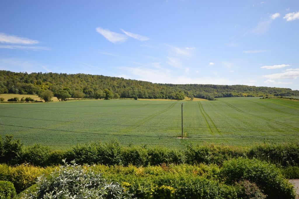 Outlook/View from Front