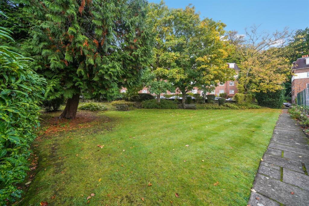 Garden.jpg