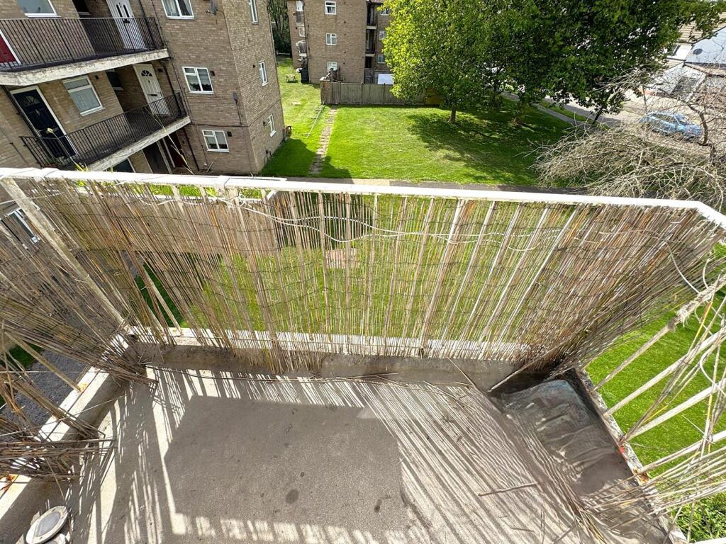 thumbnail_image1 (2).jpg