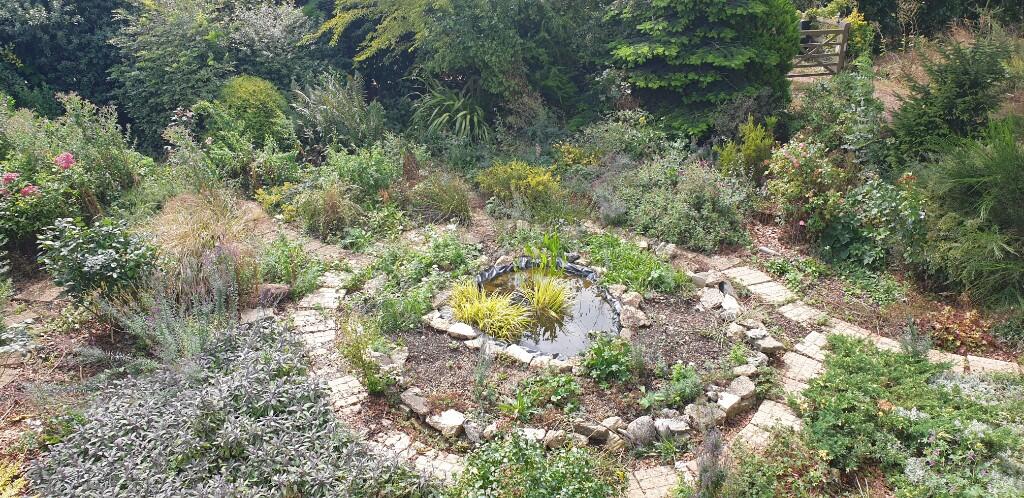 Pond