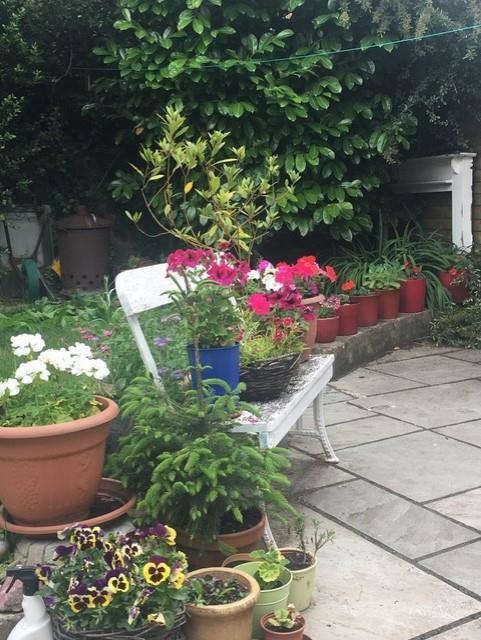 More Blooms