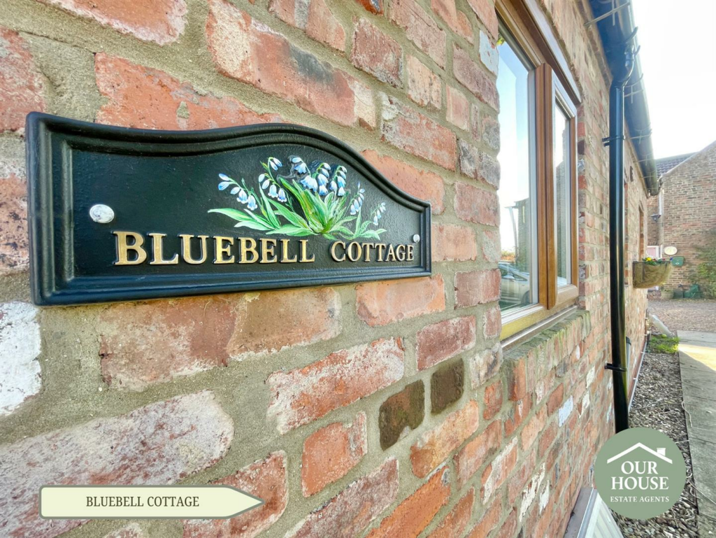 Bluebell (7).png