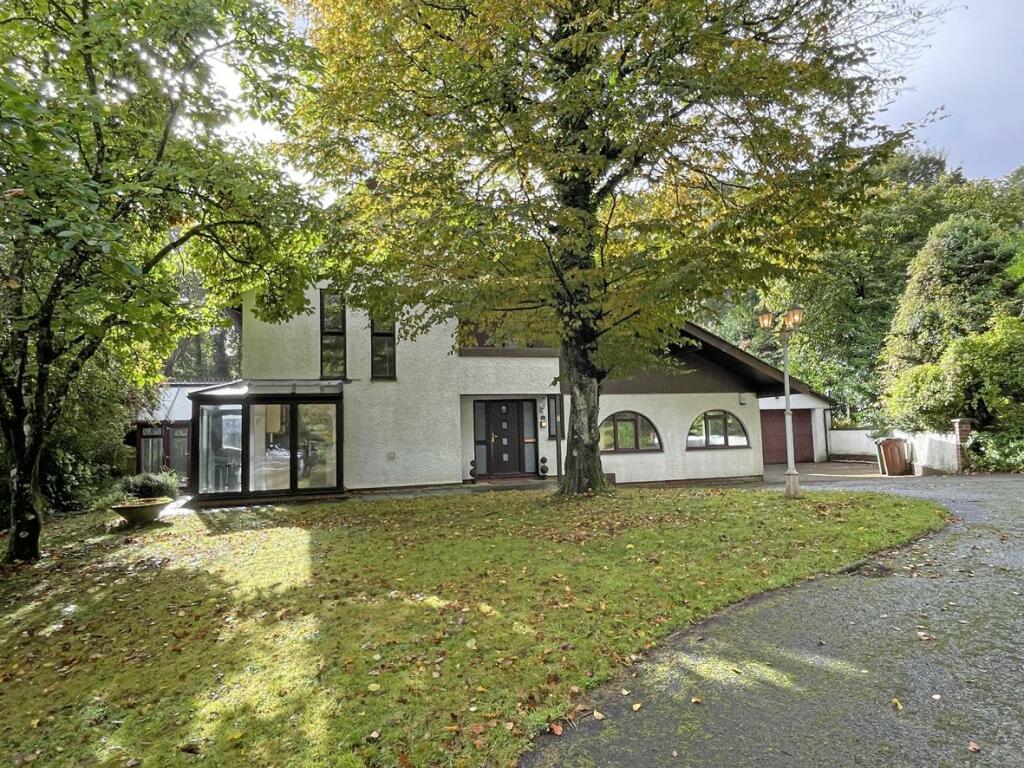 Wood Park 6 Front for inside.jpg