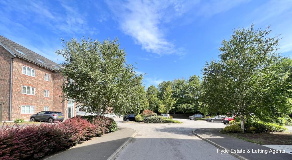 Communual 4 The Horizons.jpg