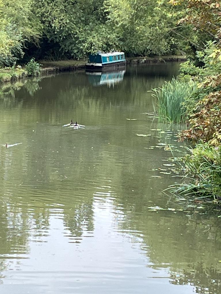 WhatsApp Image 2023-11-11 at 15.48.45.jpeg