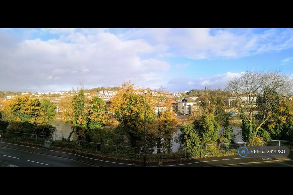 View From Front Window