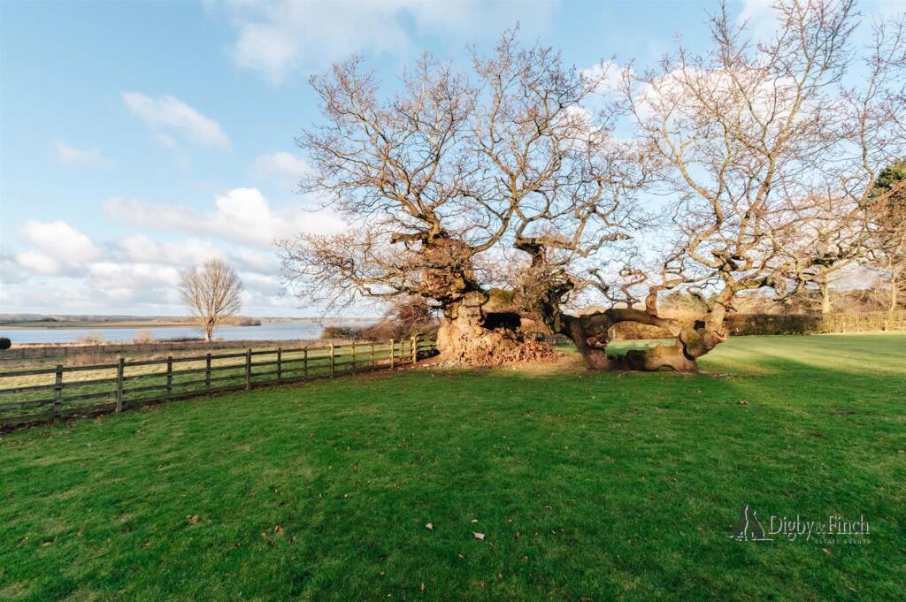 Rutland Water Views