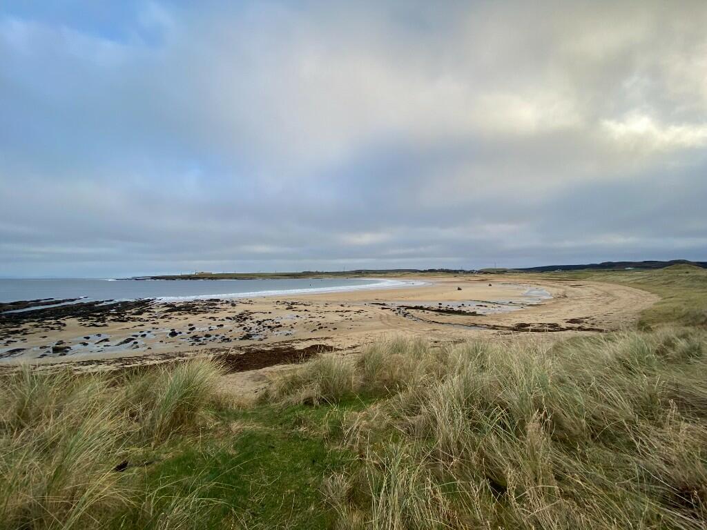 Nearby Beach