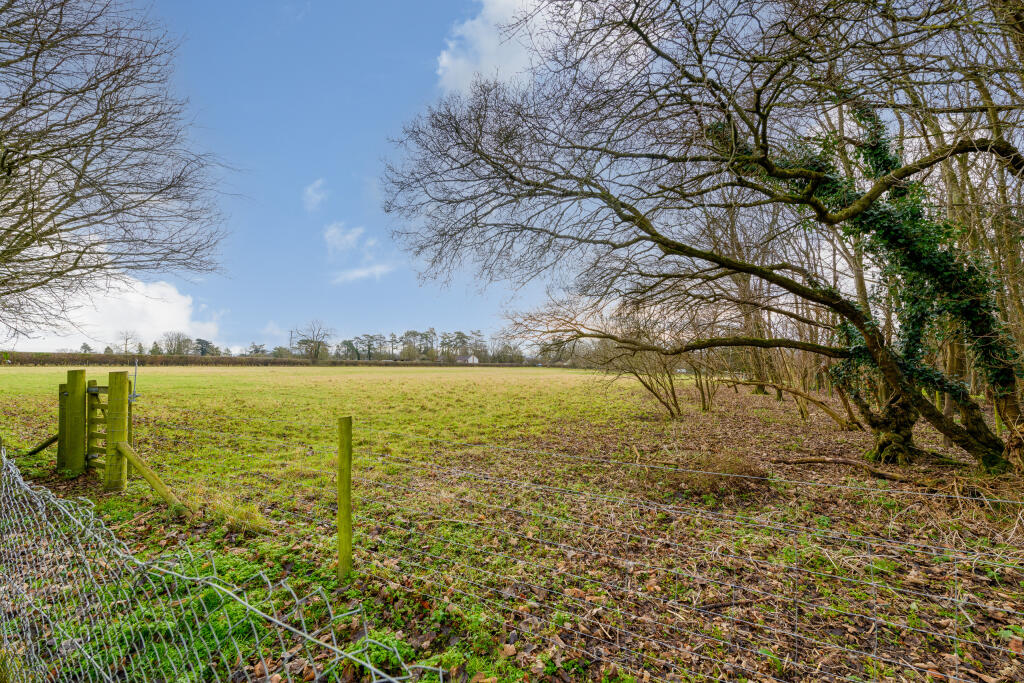 TEK HiRes 250113 019