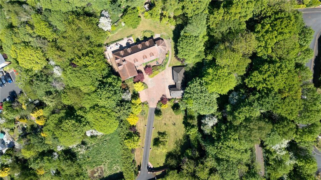 Drone Overview