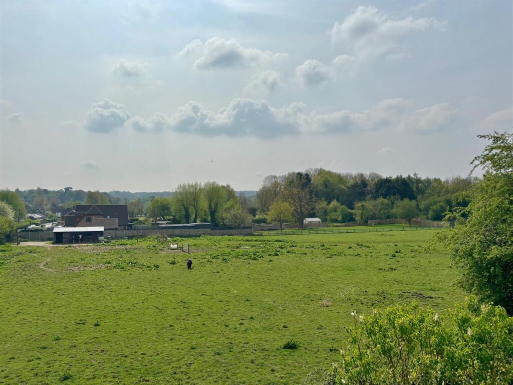 VIEW.jpg